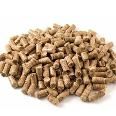 Biomass Pellet